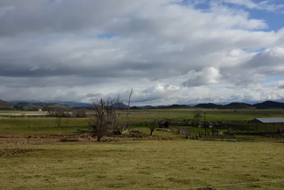 DSC_1008 (Large).JPG